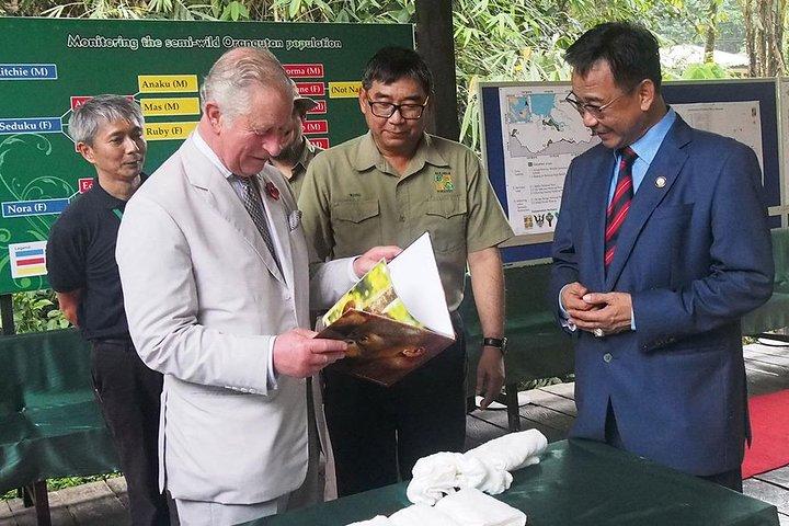 Semenggoh Wildlife Centre Tour: Discover Sarawak’s Orangutans
