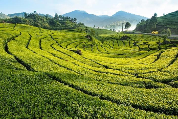 One Day Trip : Bogor Highland Waterfall Tour With Lunch