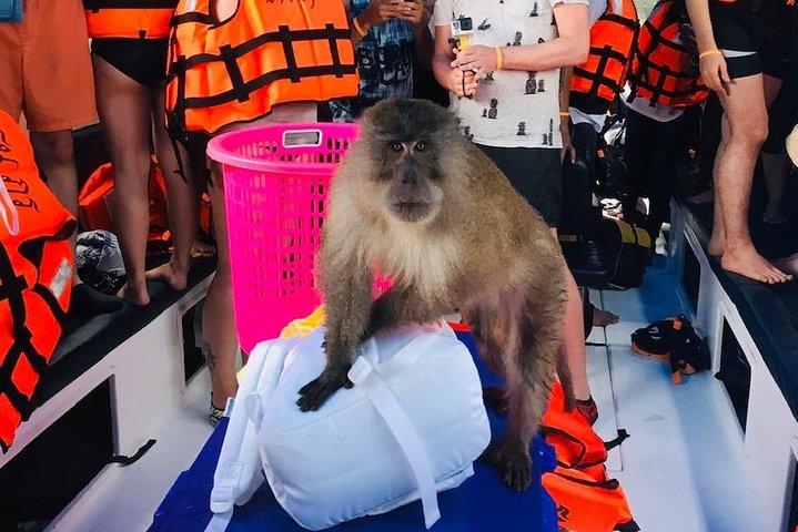 All-in Phi Phi, Maiton, MayaBay, Khai, Bamboo islands Tour