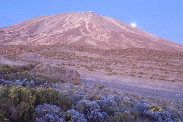 5 Days Mount Kilimanjaro Climb - Marangu Route