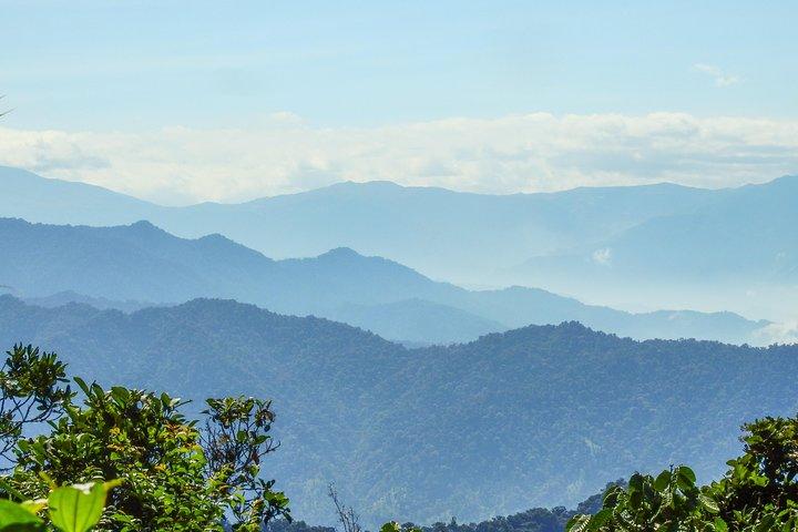 Private Mindo Cloud Forest Experience