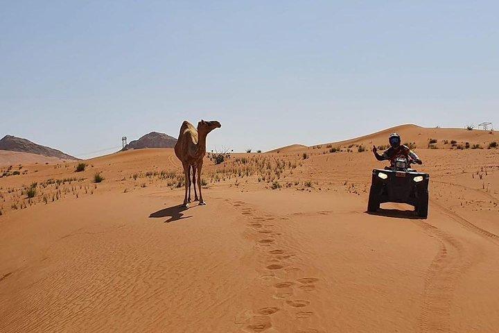Desert Safari Dubai, ATV Bike, Camel Riding, VIP Sitting and BBQ