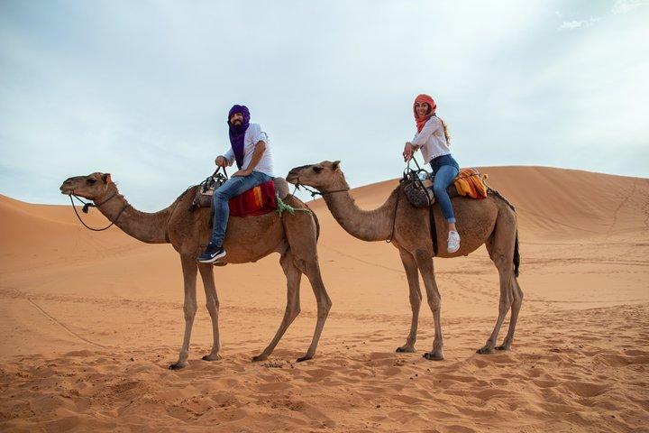 Zagora—Sahara Desert | 2 days & 1 night