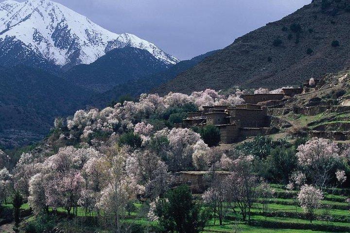 Atlas Mountains, Desert Agafay, Waterfalls and 3 Valleys - Marrakech Day Trip