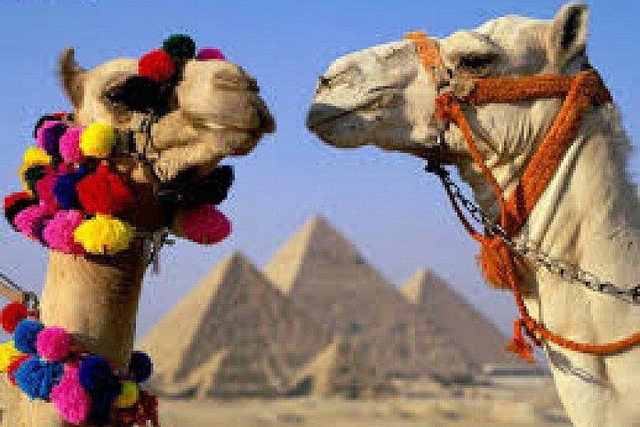 King Tut Egypt : 6 Days Cairo and Luxor Guided Tours & Overnight Train