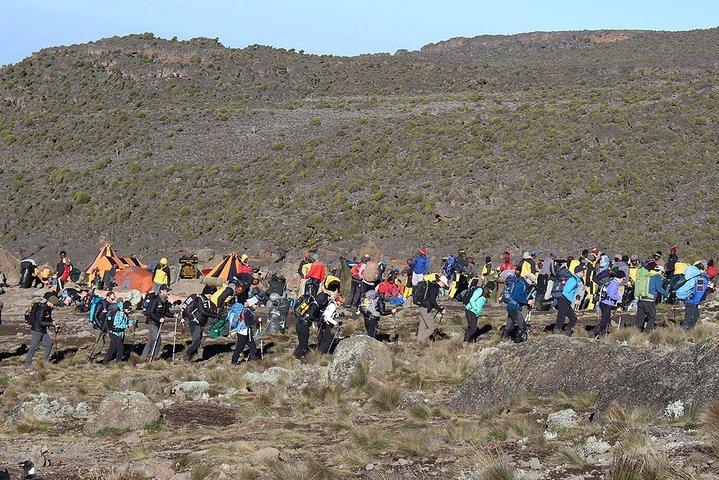 5 Days Mount Kilimanjaro Climb - Marangu Route