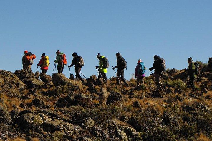 5 Days Mount Kilimanjaro Climb - Marangu Route