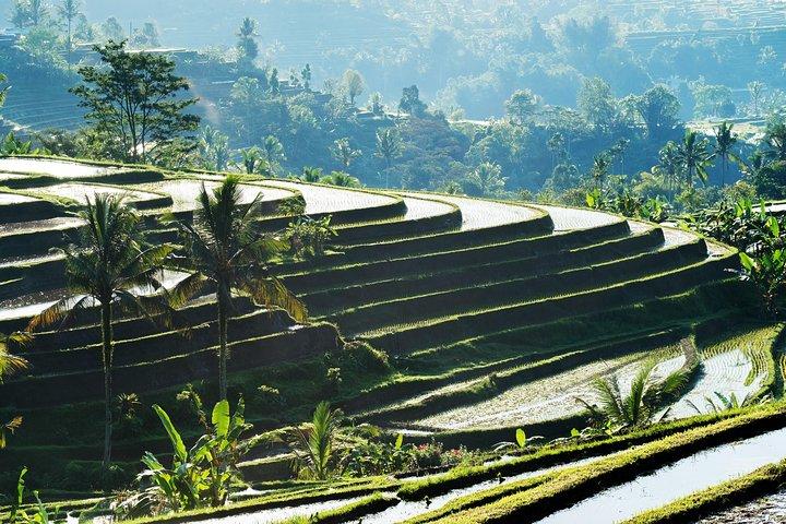 Full-Day Tour to Water Temples and UNESCO Rice Terraces in Bali