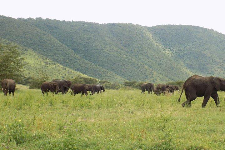 6 Days Tanzania Wildlife Safari Tour