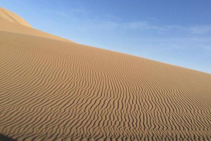 Private Dune Buggy Tour with Sandboard or Ski / 2 hours