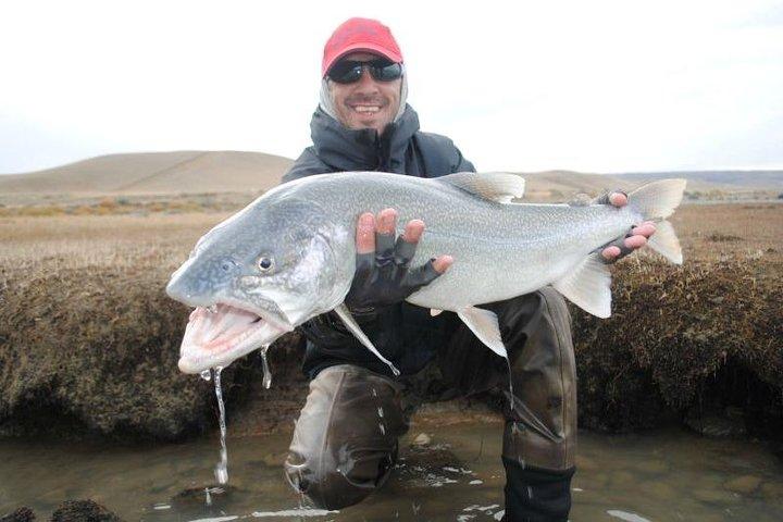 Patagonia Fly Fishing Experience in El Calafate (Small Groups)