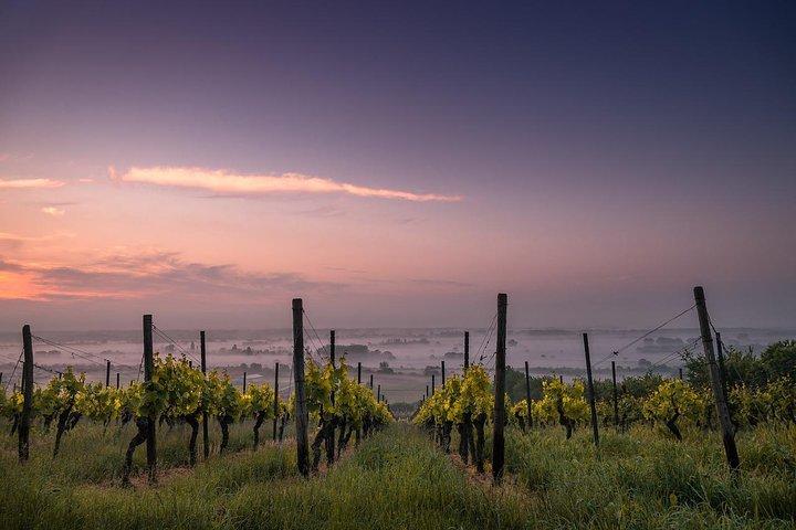 Private Customizable Niagara Winery Tour from Niagara Falls, NY