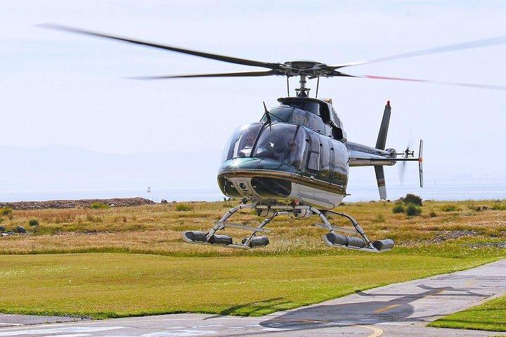 Cape Town Helicopter flight, Wine Tasting & Picnic Lunch Private Tour