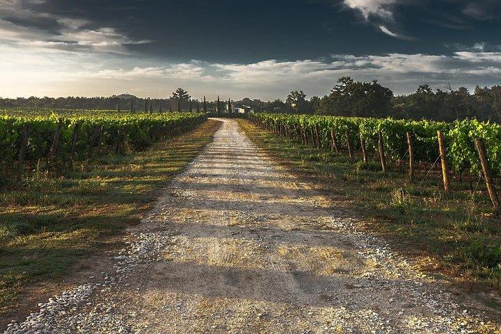 Private Customizable Niagara Falls Winery Tour from Buffalo NY