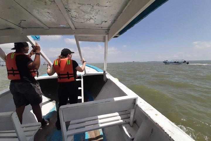 Dolphin Watching in Puerto El Morro from Guayaquil