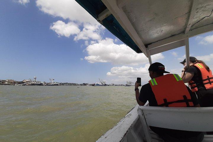 Dolphin Watching in Puerto El Morro from Guayaquil