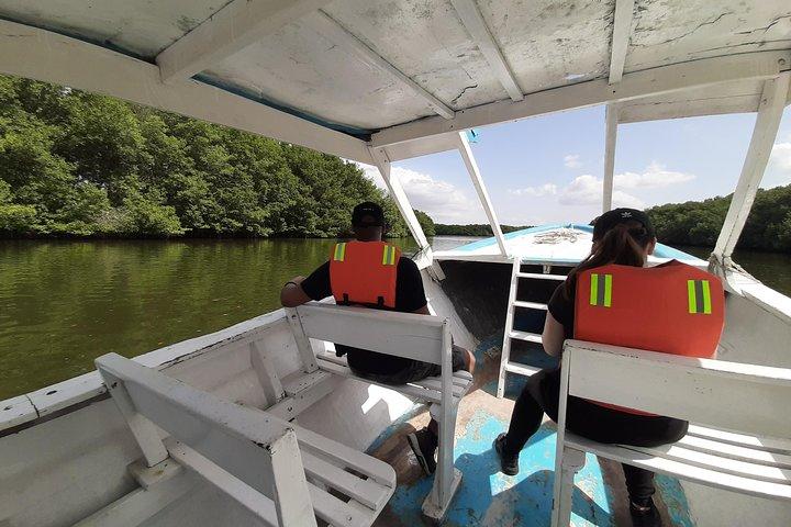 Dolphin Watching in Puerto El Morro from Guayaquil