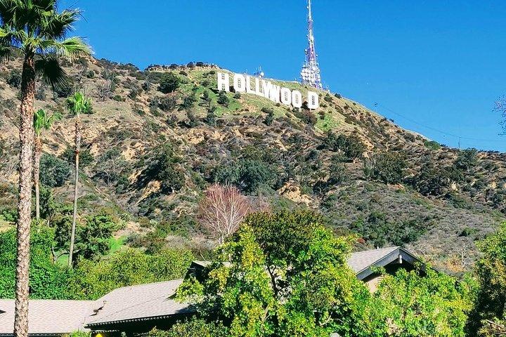 Private, Guided Sightseeing Tour of Los Angeles
