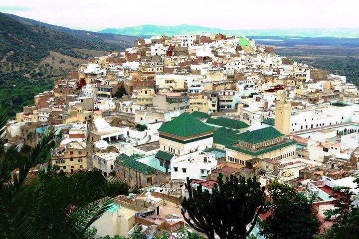 Private Meknes Volubilis -Mouly Idriss day trip from Fez