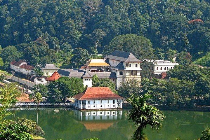 Kandy City Tour by Lux Tours Lanka