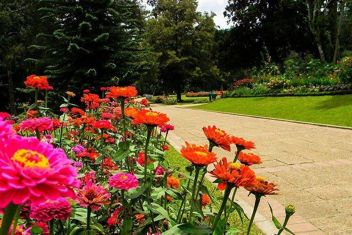 Day Tour to Nuwara Eliya from Kandy by Lux Tours Lanka