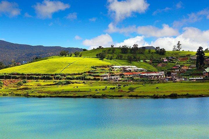 Day Tour to Nuwara Eliya from Kandy by Lux Tours Lanka