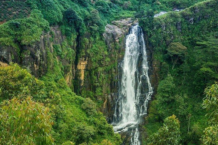 Day Tour to Nuwara Eliya from Kandy by Lux Tours Lanka