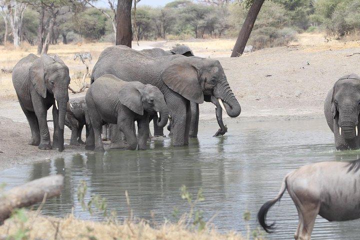 2 Days Wildlife game drives Through Tarangire and Ngorongoro Crater