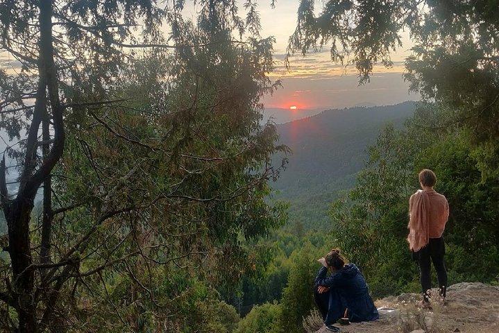 Addis Ababa: Debre Libanos, Blue Nile Gorge, and Cave Tour