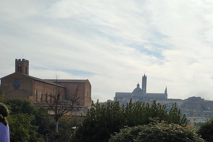Shore excursion from Livorno to Siena and San Gimignano by private minivan