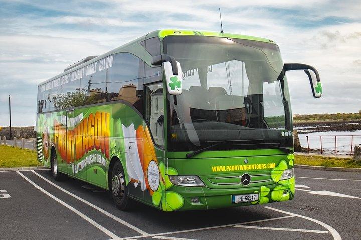 Glendalough Day Tour from Dublin: Including Kilkenny City
