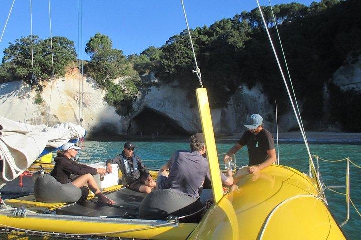 Arvo of goodness Chilled out Sail (3.5hrs)