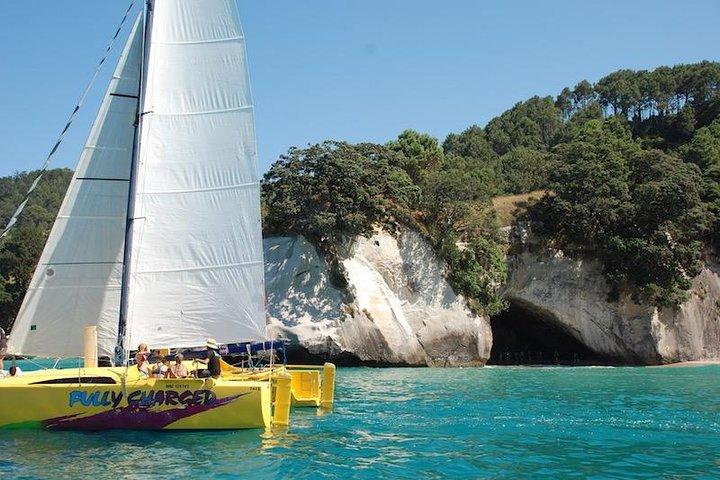 Arvo of goodness Chilled out Sail (3.5hrs)