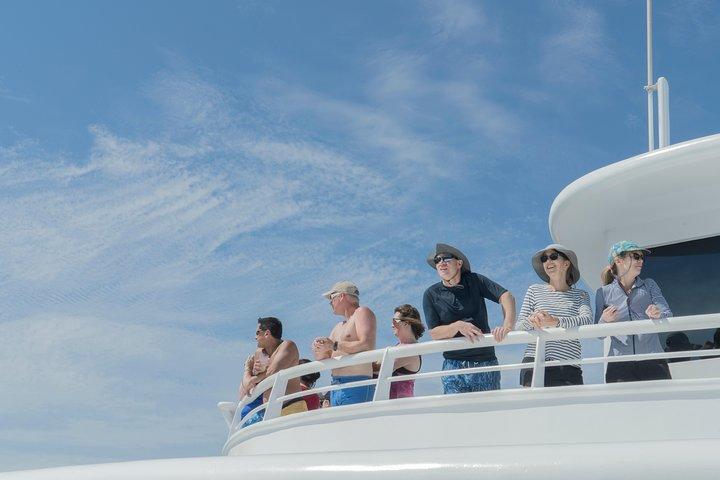 Cabo Whale Watch Three-Level Vessel and Majestic Arch