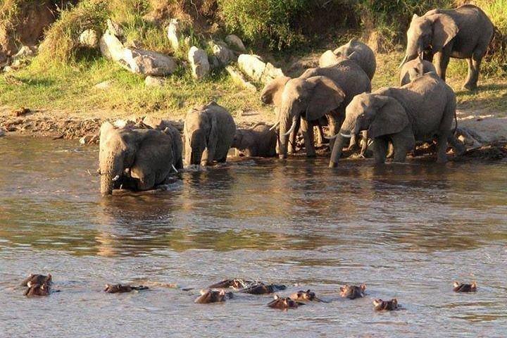 Arusha Natinional Park