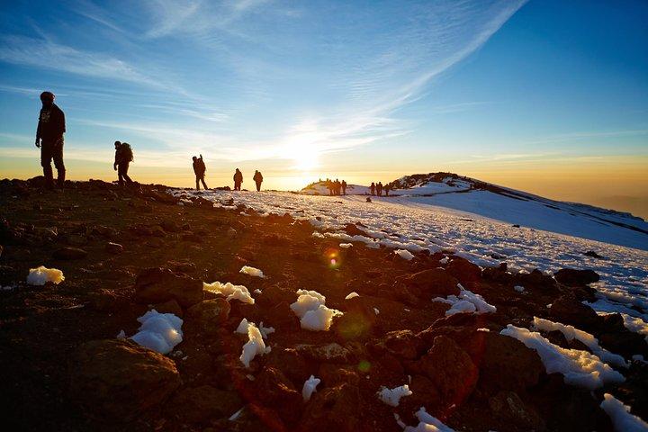 8 Days Kilimanjaro Trek – Lemosho Route