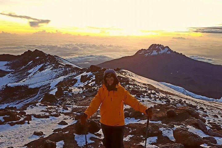 8 Days Kilimanjaro Trek – Lemosho Route