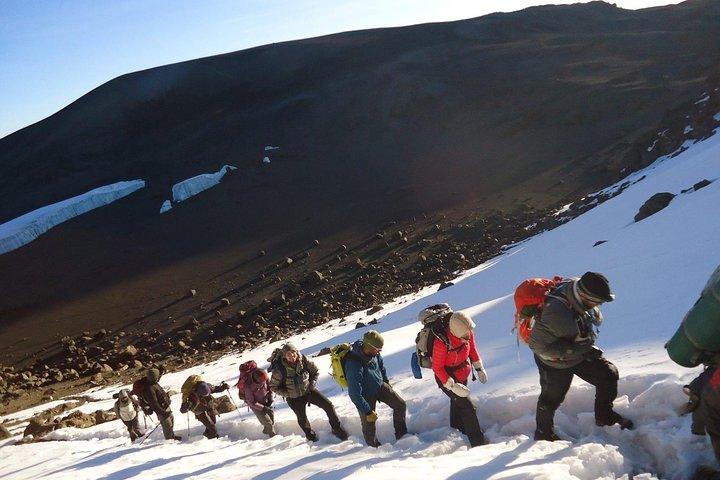8 Days Kilimanjaro Trek – Lemosho Route