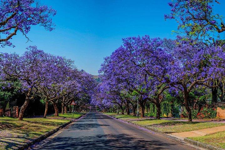 Half Day Pretoria City Tour from Johannesburg or Pretoria
