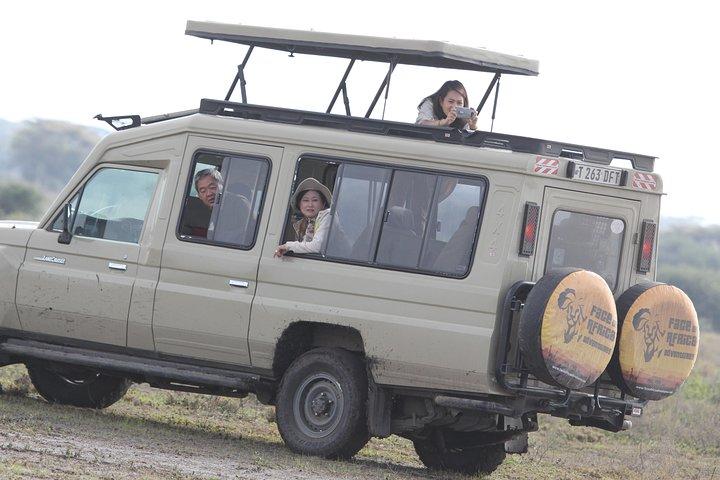Day Trip to Ngorongoro Crater from Arusha