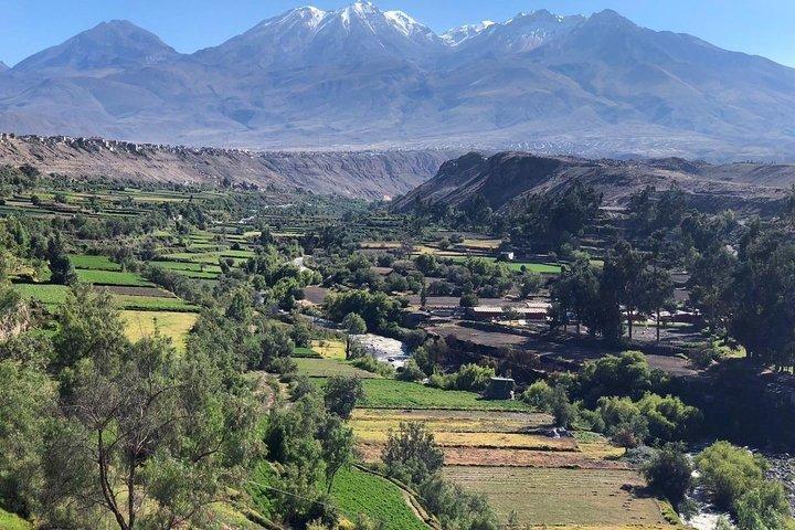 City Tour in Arequipa, Historic Center and Viewpoints around