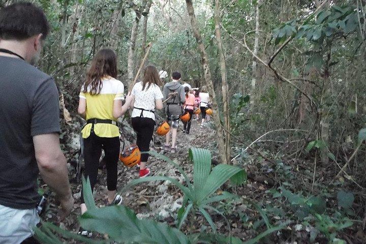 Private Tour: Jungle Adventure at Punta Laguna Nature Reserve