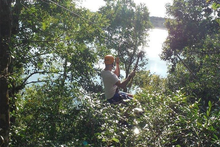 Private Tour: Jungle Adventure at Punta Laguna Nature Reserve