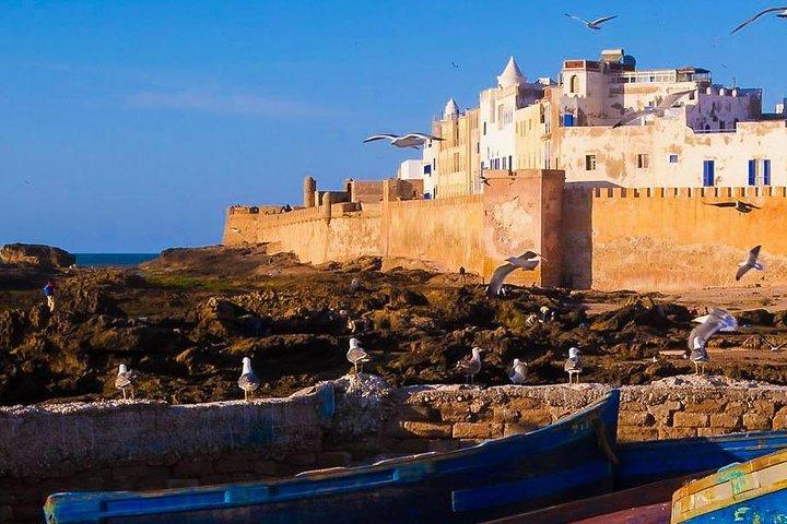 Essaouira Unveiled: A Day of Culture and Coastal Wonders!