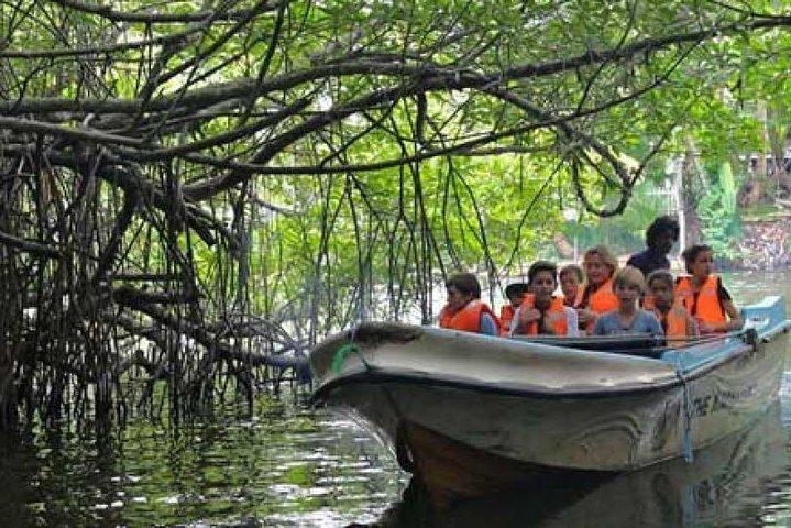 Explore Nature and Heritage in Galle from Colombo (All inclusive day tour)