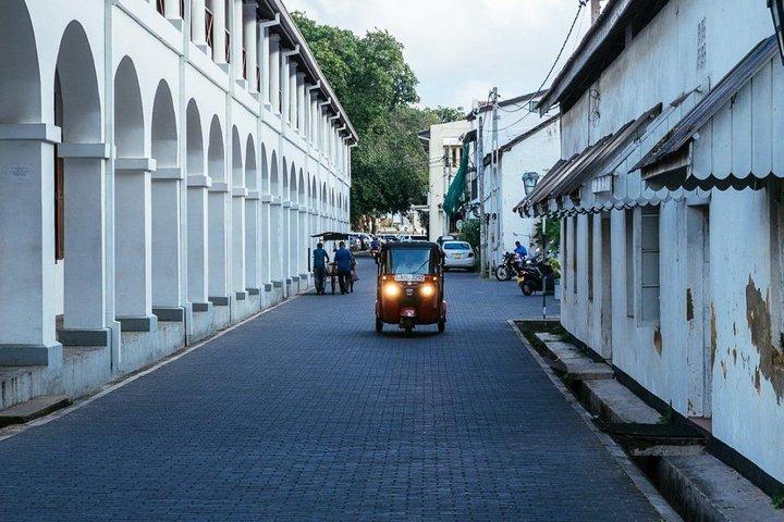 Explore Nature and Heritage in Galle from Colombo (All inclusive day tour)
