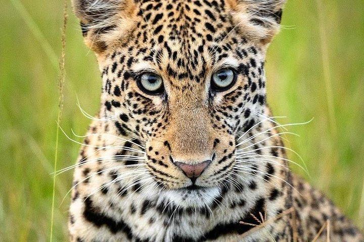 Full-Day Tour of Akagera National park From Kigali, Day Trip with Guide