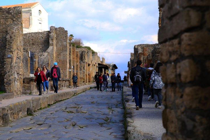 Rome to Pompeii & Herculaneum Trip with Hotel Pickup & Skip-the-line Tickets