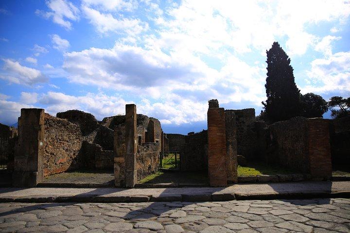 Rome to Pompeii & Herculaneum Trip with Hotel Pickup & Skip-the-line Tickets