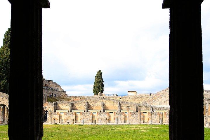 Rome to Pompeii & Herculaneum Trip with Hotel Pickup & Skip-the-line Tickets